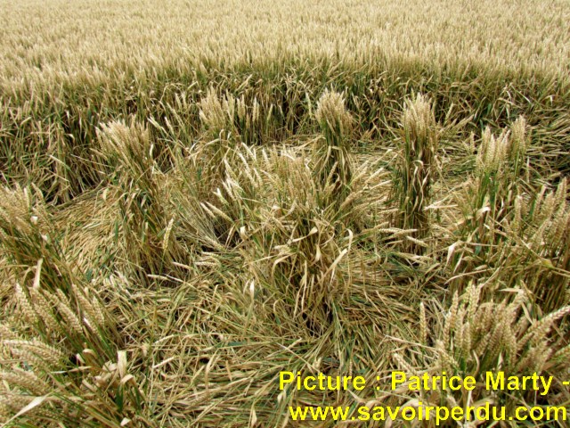 Chalk Pit, Wiltshire crop circle, aerial photo 53